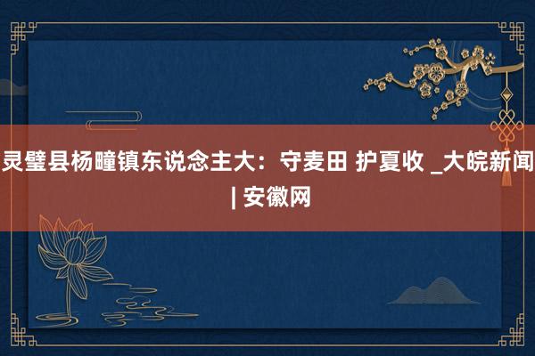 灵璧县杨疃镇东说念主大：守麦田 护夏收 _大皖新闻 | 安徽网