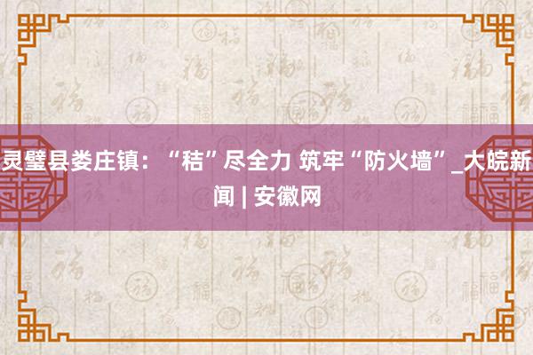 灵璧县娄庄镇：“秸”尽全力 筑牢“防火墙”_大皖新闻 | 安徽网