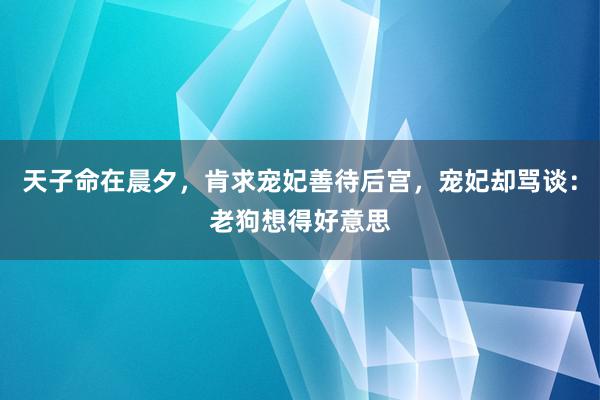 天子命在晨夕，肯求宠妃善待后宫，宠妃却骂谈：老狗想得好意思