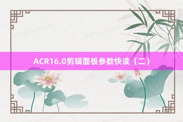 ACR16.0剪辑面板参数快读（二）