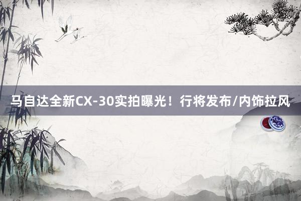 马自达全新CX-30实拍曝光！行将发布/内饰拉风