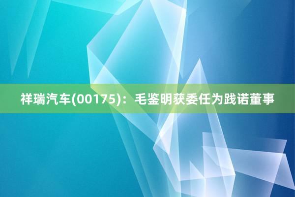 祥瑞汽车(00175)：毛鉴明获委任为践诺董事